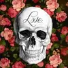 aimee Rae  - @aimee_rae - TikTok