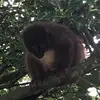 aimee randall183 - @a.l.randall08 - TikTok