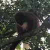 Aimee Randall612 - @a.l.randall - TikTok