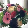 aimeesargent409 - @aimeesargent409 - TikTok