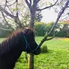 Aimee Charlize Schmidt - @xxo.aimee.xxo - TikTok