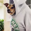 Aimee Lynn Schmidt - @crazypupmamma - TikTok