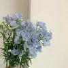 aimeeschmidt07 - @aimeeschmidt07 - TikTok