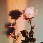 Aimee Stephens - @stephens632 - Instagram