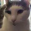 Aimee Stevens375 - @aimeestevens7 - TikTok