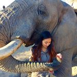 Aimee Tran - @aimeetran18 - Instagram