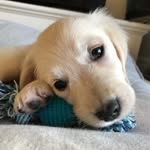 Aimee Wang - @aimeewang1116 - Instagram