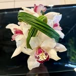 Aimee Weaver - @auntieaims47 - Instagram