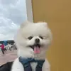 Aimee wu - @gn00905250 - TikTok