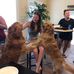 Annie Graham - Facebook