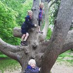Aine Higgins - @aine.higgins432 - Instagram