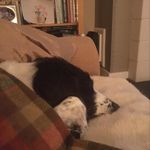 Ai E - @aine_manning - Instagram