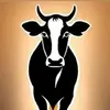 Animals_meeting - @animals_meeting8 - TikTok