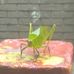 Ainsley Walker - Facebook