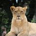 KoMo Ainsley Elaine Walker - Facebook