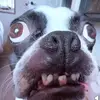 ainsley watson33 - @ainsley.watson33 - TikTok