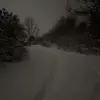 Ainsley Watt - @ainsley.watt5 - TikTok