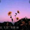 Airam_Vásquez - @airam_vasquez03 - TikTok
