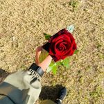 Aisha Abdallah - @aisha_abdallah_2000 - Instagram