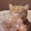 aisha_abdallah - @aisha_abdalllah - TikTok