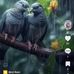 Aisha Abdi - Facebook