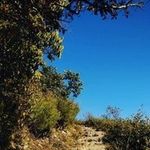 Aisha Abdullah - @eyesha_abdullah - Instagram
