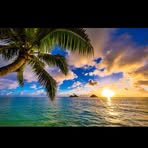 Aisha Ayesh - Facebook