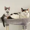 aisha_bean - @aisha_bean - TikTok