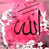 Aisha jan - @aisha_bibi4 - TikTok