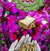 Ayesha Parul - Facebook