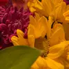 aishacooks - @aishascooks - TikTok