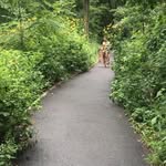 Aisha J. Curtiss - @aishacurtiss - Instagram