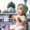 Aisha Dada - @user7785865986065 - TikTok