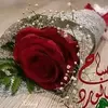Aisha Dada - @aisha.dada - TikTok