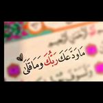 Aisha Dahir - @caaishadaher - Instagram