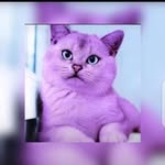 Aisha Dahir - @dahir8909 - Instagram