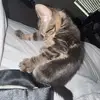 Aisha - @aisha.dar_ - TikTok