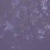 Aisha_Darnal🕉️🎀🪷 - @aisha_darnal1 - TikTok