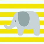 Aisha Diriye - @yellow_cute_elephant - Instagram