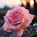Aisha Das - Facebook