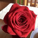 Aisha ejaz - @aishae6300 - Instagram