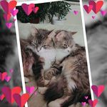 Aisha Ellahi - @aisha_e04 - Instagram