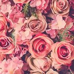 Aisha Alshemery - @aishaalshemery - Instagram