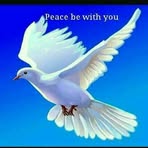 Aisha Frank - Facebook