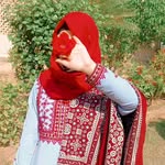 Aisha Hameed - @aisha_noonari - Instagram