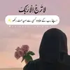 Aisha Hameed - @aisha.hameed7 - TikTok