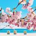 Kota Aisha Ari Holly - Facebook