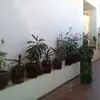 Aisha Imam - @aisha.imam8 - TikTok