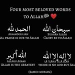 Aisha Imam - @aishaimam44 - Instagram