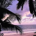 aishaimam - @_aishaimam - Instagram